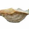 Oldenhof Oester Champagnekoeler XXL Aardewerk -Servies Verkoop a59e8dce7db28d73cdad78a0b24572a9fefe3dd4